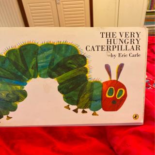 【乐乐读英文绘本】The very hungry caterpillar