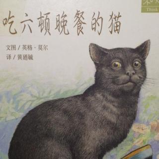 吃六顿晚餐的猫