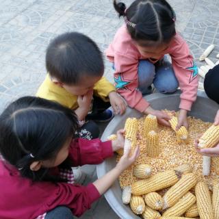 女娲造人，幸福鸟