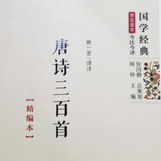 唐诗27《晨诣超师院读禅经》柳宗元