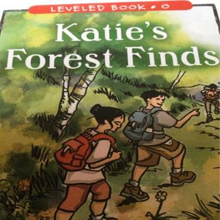 20200427 Katir's Forest Finds