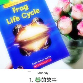 FROG LIFE CYCLE 1