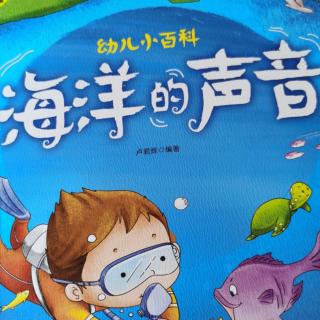 海洋的声音🐚🐟🐬