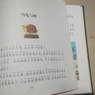 乌龟与鹰