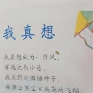 县幼儿园大八班于浩泽，我真想，