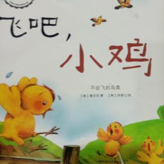 《飞吧，小鸡》