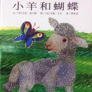 阅读宝贝早安故事-《小羊和蝴蝶》