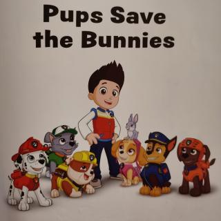 Pups save the bunnies