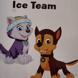 Ice team