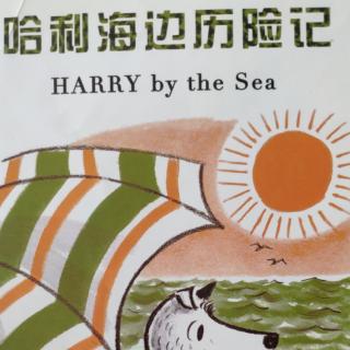 《哈利海边历险记》---主播:小燕子