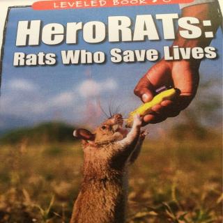 20200428 HeroRATS:Rats Who Save Lives