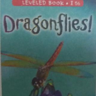 Reading a-z Dragonflies