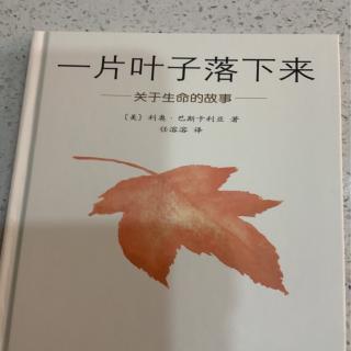 b442-《一片叶子落下来》第二节