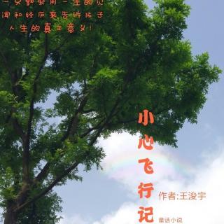 第15集 柑橘林遇险 化险为夷的秘诀《小心飞行记》作者王浚宇