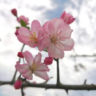 《饮湖上初晴后雨》