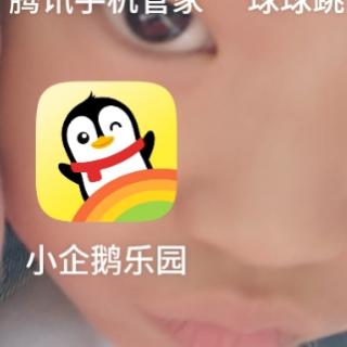 三、黄蜂悲惨的结果