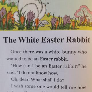 The White Easter Rabbit