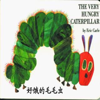 比凡国际早教 第88期 《The very hungry caterpillar》Emily