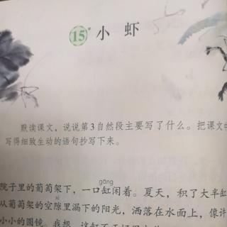 小虾——王泽圻