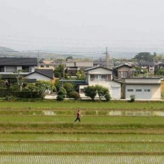 乡村城市生活意向   作者：庄子蝶一