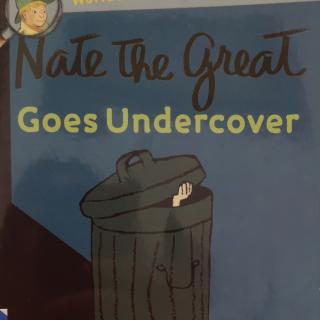 Nate The Great Goes Undercover by Darcy