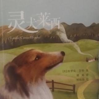 《灵犬莱西》第十四集（下）