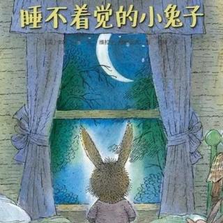 乌龟国童书馆——睡不着觉的小兔子