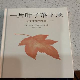 b443-《一片叶子落下来》第三节