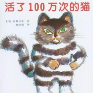 死了100万次的猫