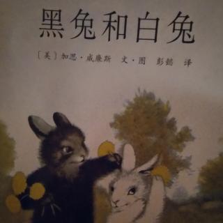 黑兔和白兔