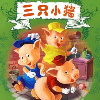爱乐祺故事《三只小猪》——Rita