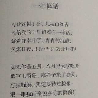 一串瘋話