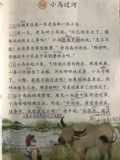 《小马过河》