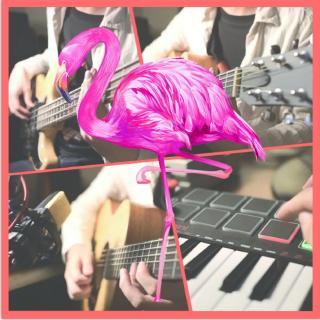 【电鸟×胖达】Flamingo（原唱：米津玄师））