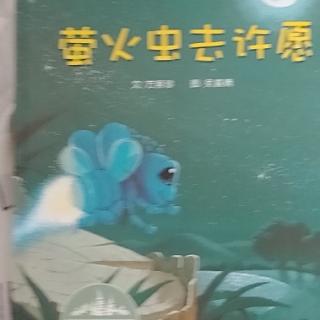 《萤火虫去许愿》