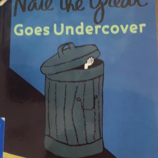 Nate The Great Goes Undercover By Darcy