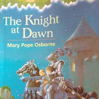 The Knight at Dawn(7)