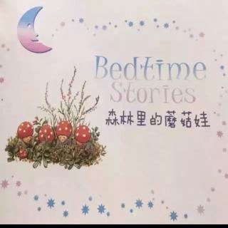 金宝贝🏠第47夜【森林里的蘑菇娃】