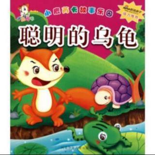 【故事593】虎渡名门幼儿园晚安绘本故事《聪明的乌龟》
