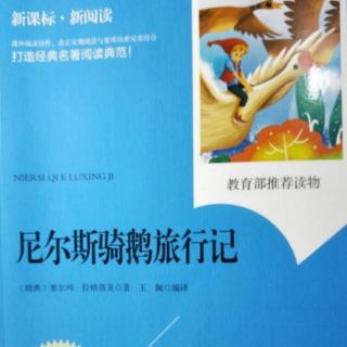 《尼尔斯骑鹅旅行记》之帮助大学生