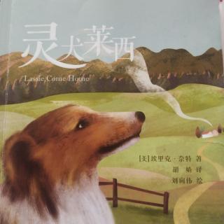 《灵犬莱西》第十五集（下）