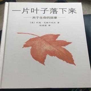 b444 《一片叶子落下来》第四节