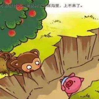 小猪🐷的礼物🎁