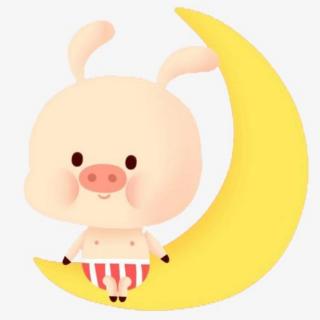 《小猪找月亮🌙》