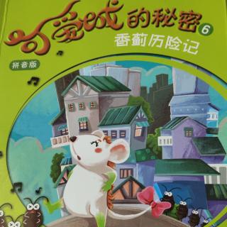 《可爱城的秘密》