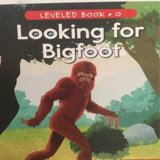 20200502 Looking for Bigfoot