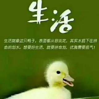 看开    拿起  放下