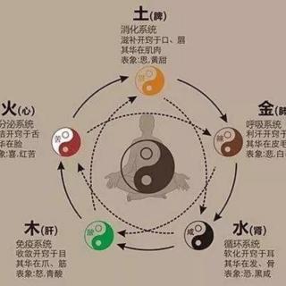 42黄帝内经（凌耀星讲稿版）（五运行大论篇）