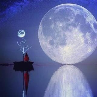 【夜读·诗】《月下待杜鹃不来》作者：徐志摩；朗读：篁竹瑾