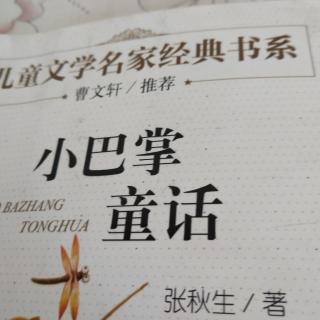 小巴掌童话